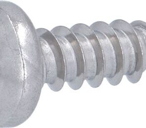 Rancilio Silvia OEM  Panel Screw inox