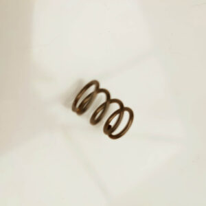 ASCASO i1184 STEAM - WATER OUTLET TAP SPRING