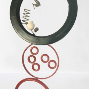 Ascaso DREAM MOBILE FILTER HOLDER gasket kit  thermoblock group +09/2012