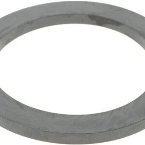 filterholder gasket Isomac Maverick 000807