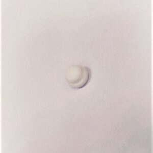 Isomac Itala oem PTFE Steam/Water Pad seal